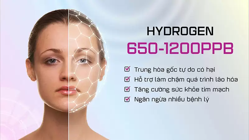 Máy lọc nước để gầm Mutosi MP-U106H